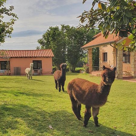 Hotel 3 Alpacas La Campa Eksteriør bilde