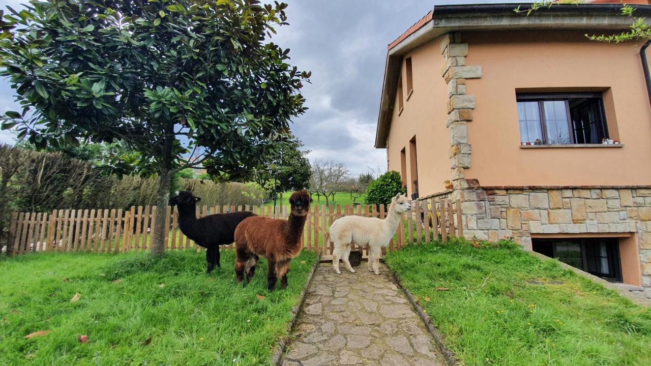 Hotel 3 Alpacas La Campa Eksteriør bilde